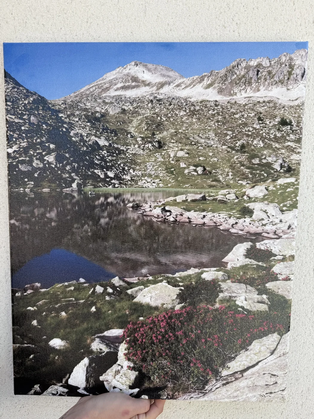 Toile imprimée — lac de montagne, reflets et fleurs roses